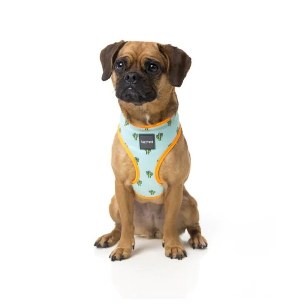 NWOT FuzzYard Dog Harness Cactus Theme with Secure D-ring | Lightweight XL - Picture 2 of 12